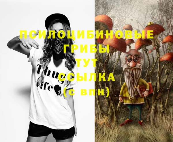 jwh Алзамай