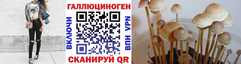 Галлюциногенные грибы Cubensis  Анапа 